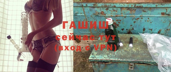 индика Новодвинск