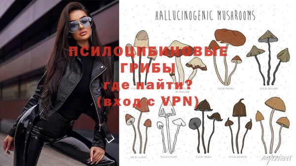 меф Новокубанск