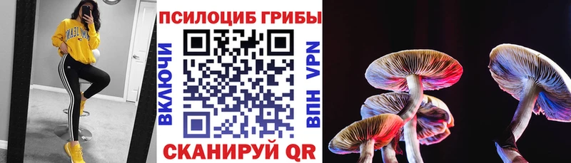 Купить где  Железногорск  Псилоцибиновые грибы Psilocybe 